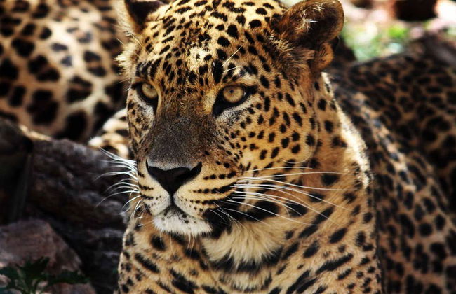 Eingangsboden Natura Murcia - Foto 1